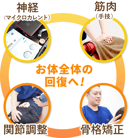 神経（マイクロカレント）・筋肉（手技）、関節調整、骨格矯正